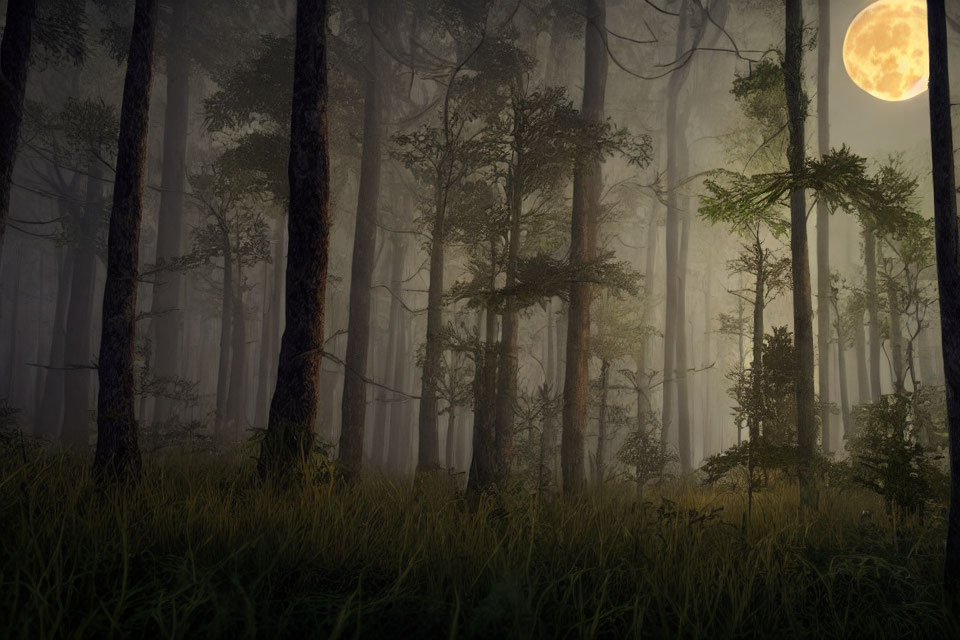 Misty Night Forest with Tall Trees and Full Moon