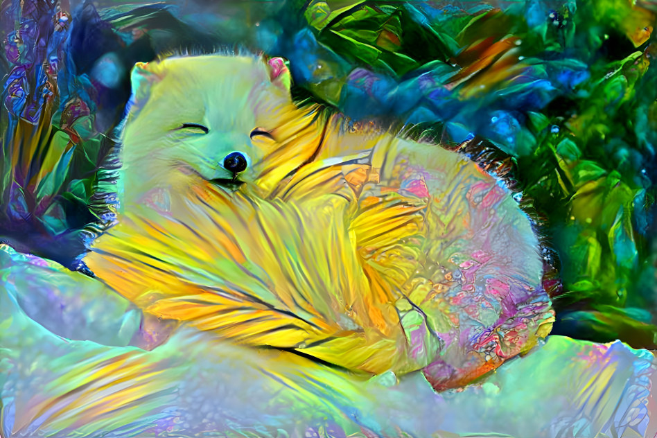 the fox of the colors