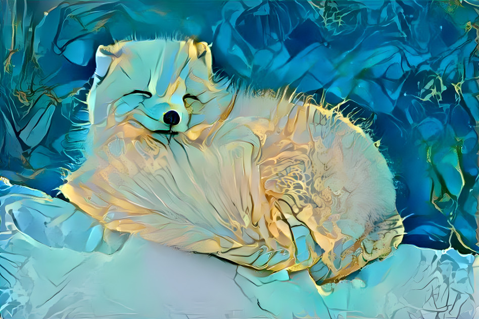 fluffy, very very cute artic  fox