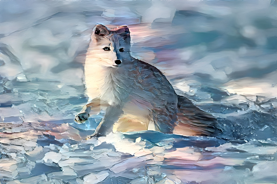 cute artic fox