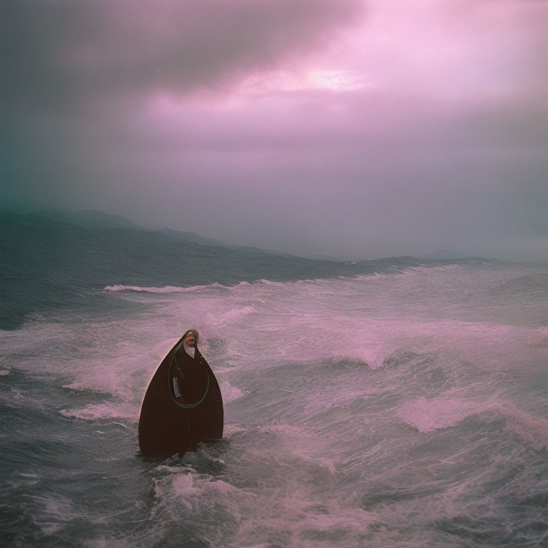 Person in boat-like structure under purple sky emerging from sea