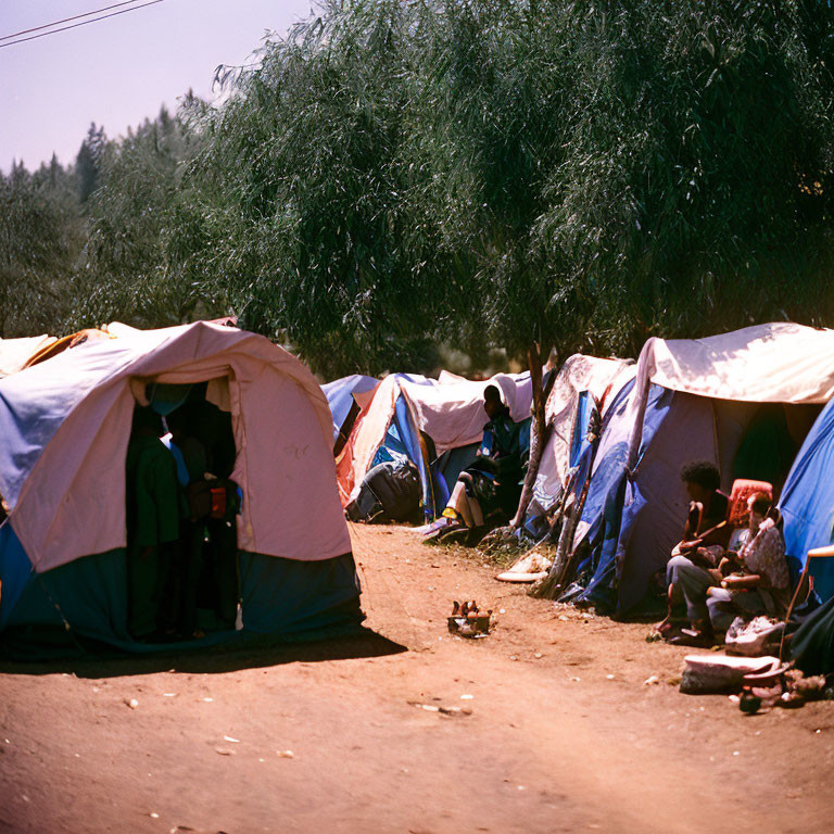 Group of People Sitting by Tents Under Trees at Makeshift Campsite
