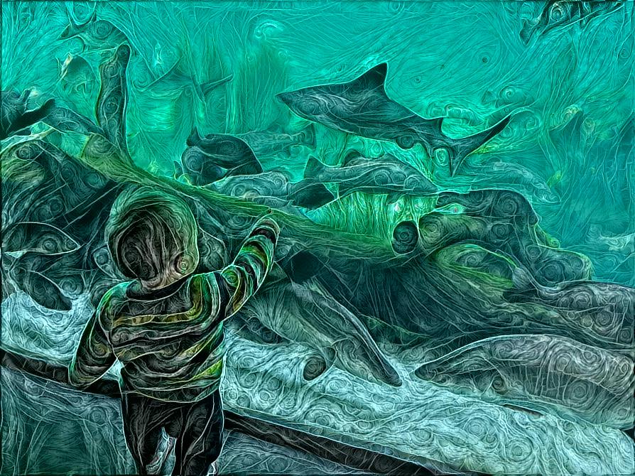 Baby Boy Pointing at Shark in Aquarium