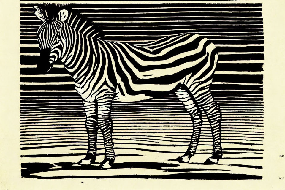 Monochrome zebra illustration with bold stripes on blended background