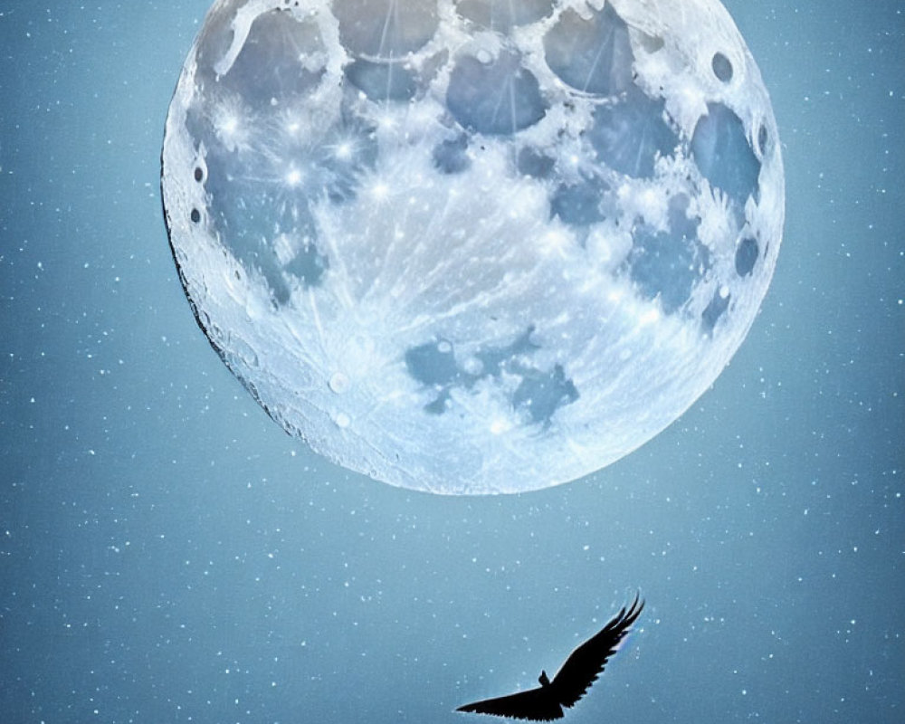 Bird flying under detailed full moon on night sky