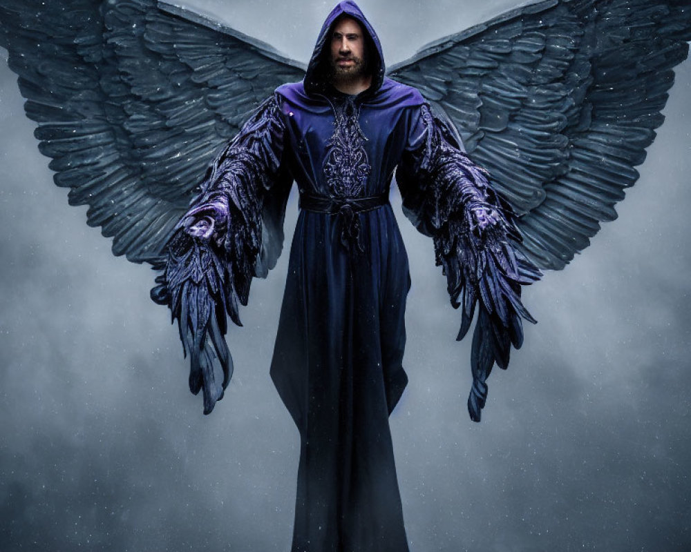 Person with Large Dark Angel Wings in Purple and Black Robe Against Stormy Sky