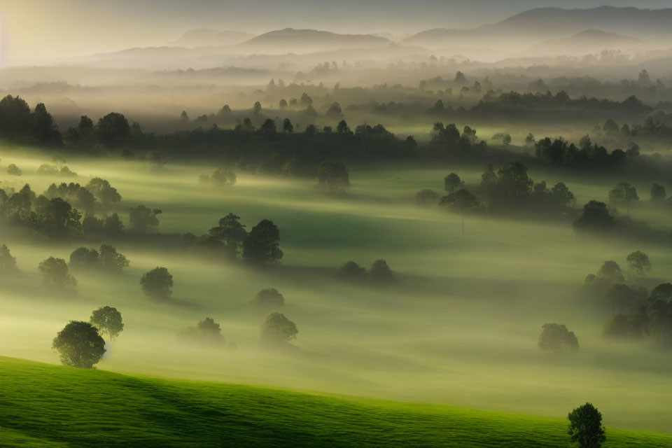 Tranquil sunrise scene of misty green hills and trees