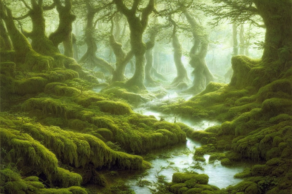 Sunlit forest scene with mossy stream and dense trees