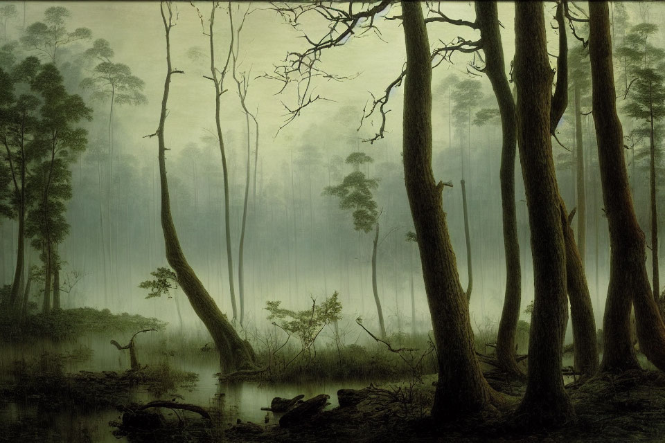 Mist-shrouded forest with gnarled trees and eerie light