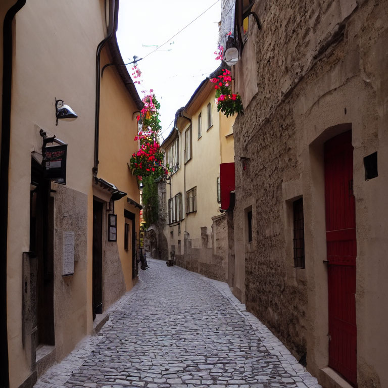 Old Buildings and Cobblestone Street with Hanging Flower Baskets