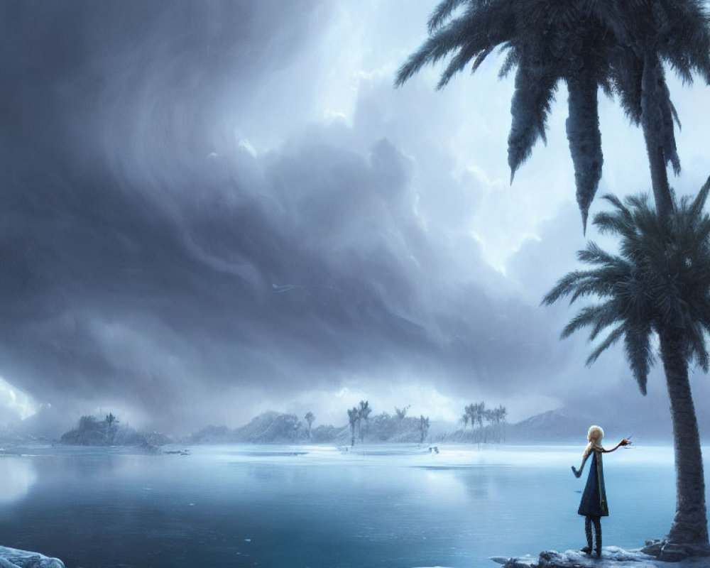 Person standing on rocky shore overlooking icy lake under stormy sky with palm trees and misty islands.