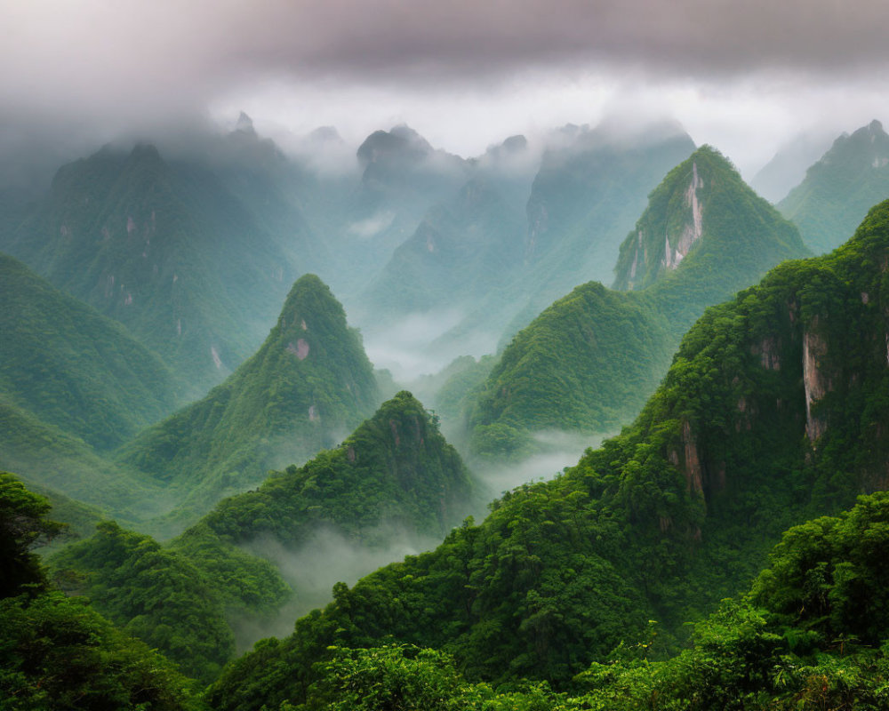 Misty Green Mountains Enveloped by Clouds