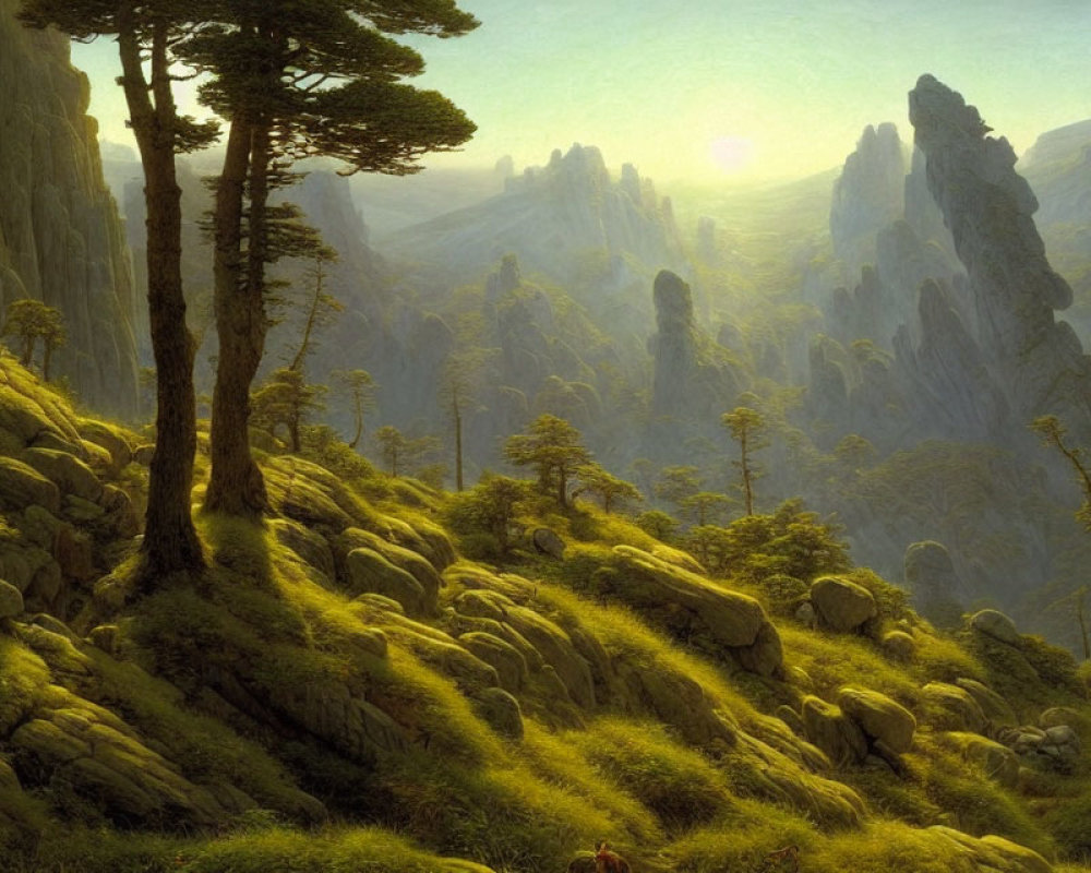 Serene forest scene with moss-covered rocks and towering pine trees