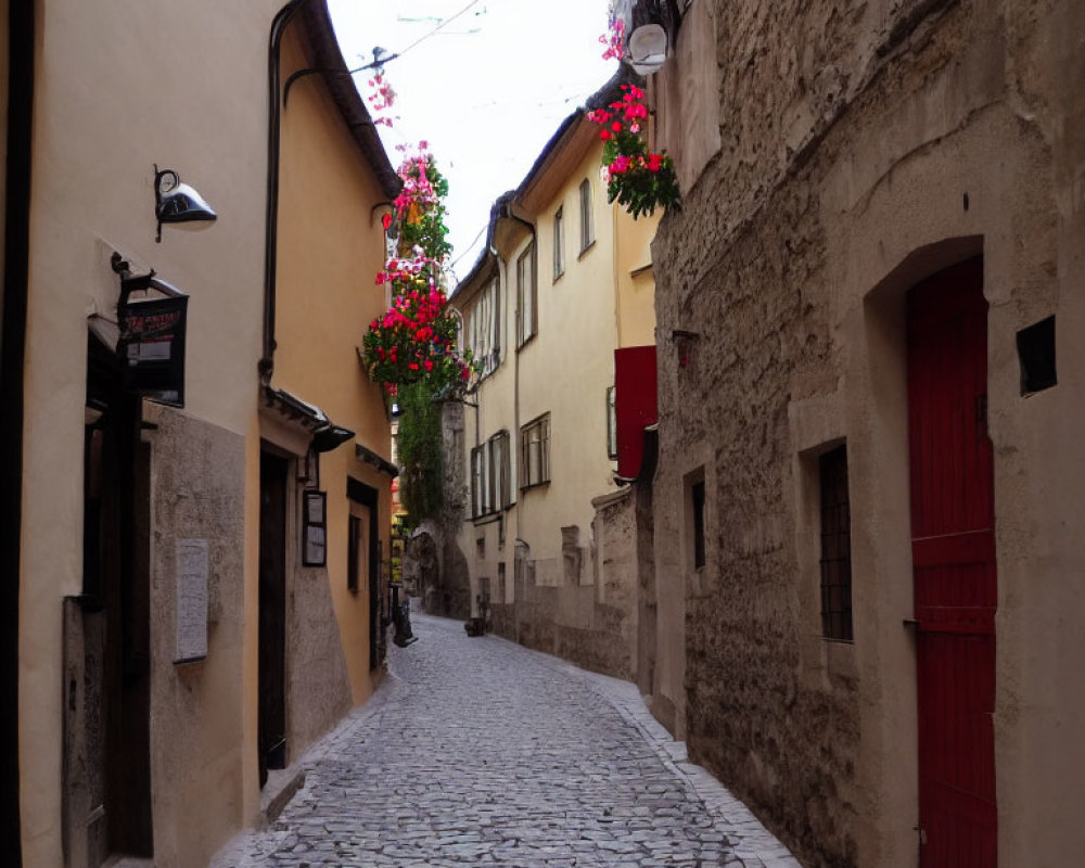 Old Buildings and Cobblestone Street with Hanging Flower Baskets