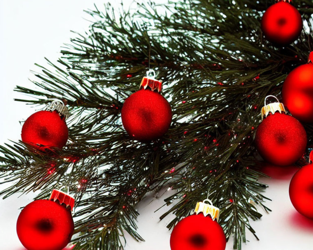 Green pine branches with red Christmas baubles on white background