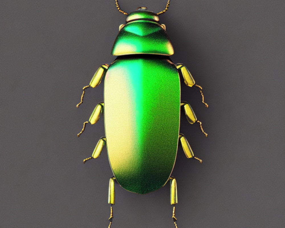 Vibrant Green and Gold Metallic Beetle on Dark Gray Background