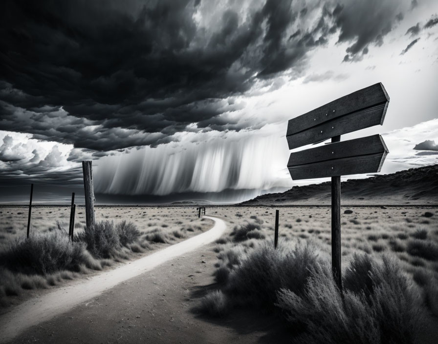 Monochrome image of deserted trail with wooden signpost under stormy sky