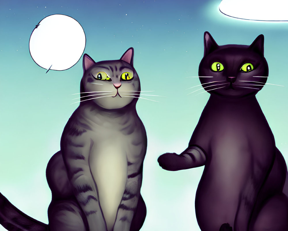 Illustrated grey tabby and black cats with speech bubbles under starry night sky