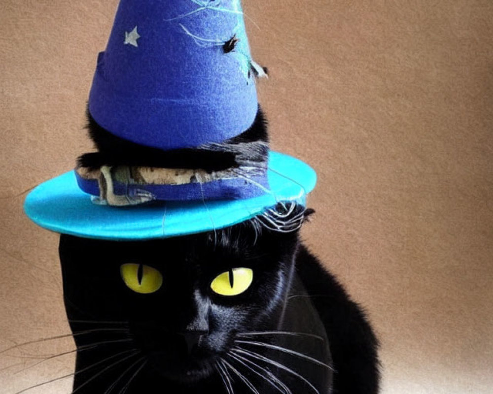 Black Cat in Wizard Hat with Yellow Eyes and Stars - Illustration