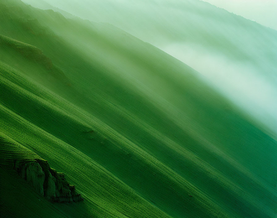 Tranquil landscape of misty green hills in soft sunlight