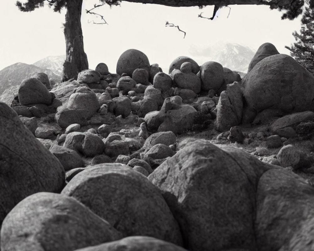 Monochrome landscape with rocks, tree, and distant mountains