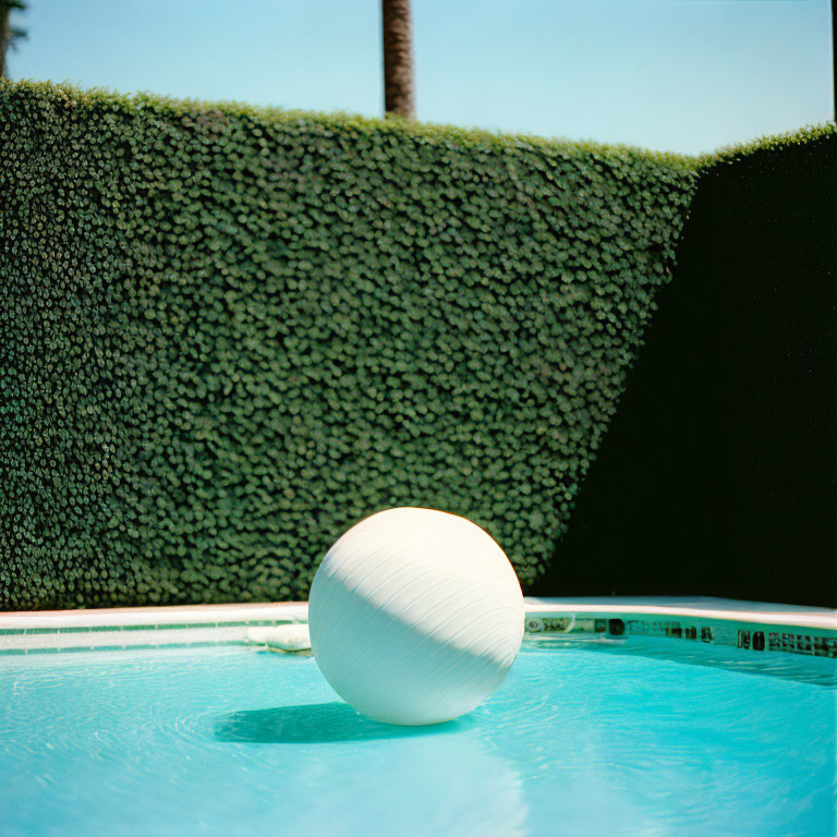 White spherical object in clear blue swimming pool with trimmed hedge and palm tree