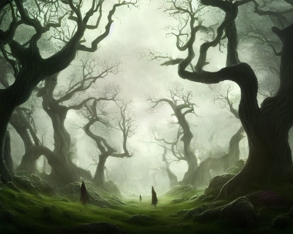 Ethereal forest scene with ancient trees, misty backdrop, and cloaked figures.