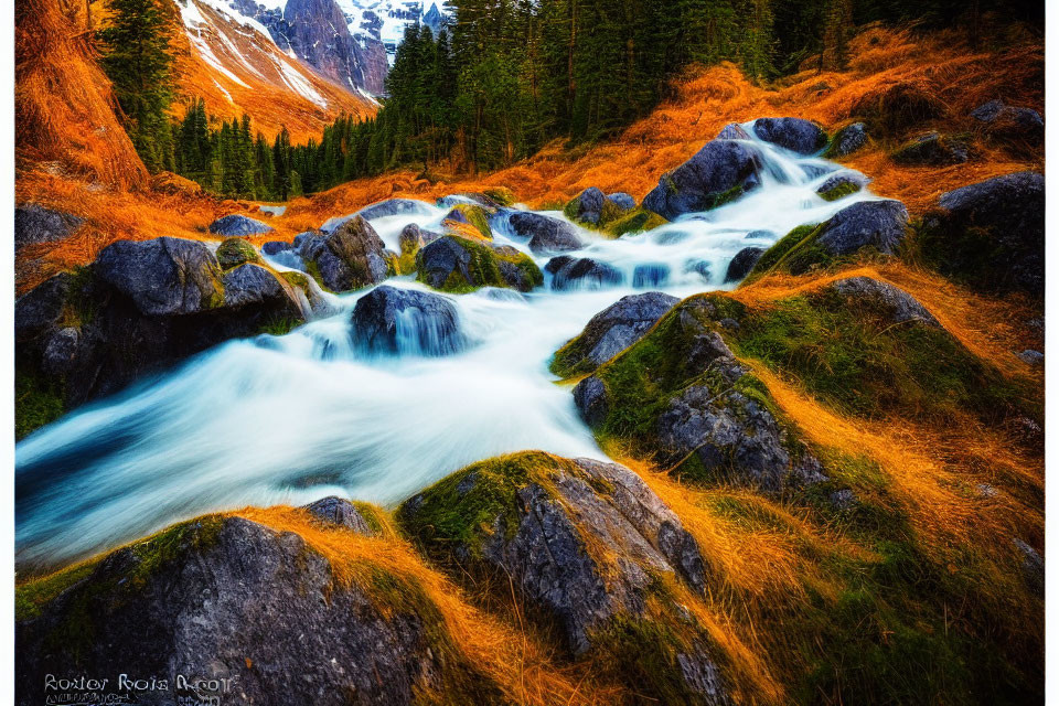 Autumn Landscape with Cascading Stream and Moss-Covered Rocks