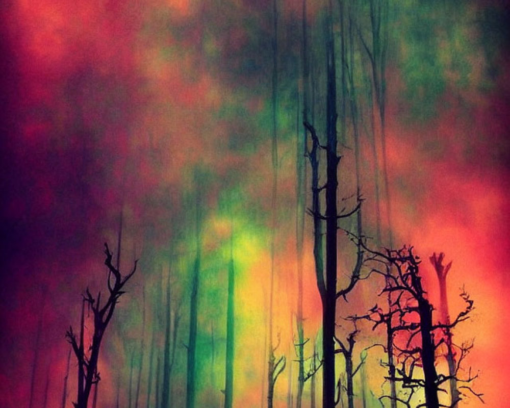 Surreal forest scene with bare trees against dramatic sky