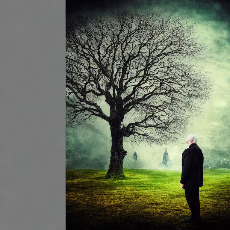 Elderly man in black suit gazes at leafless tree in misty green landscape