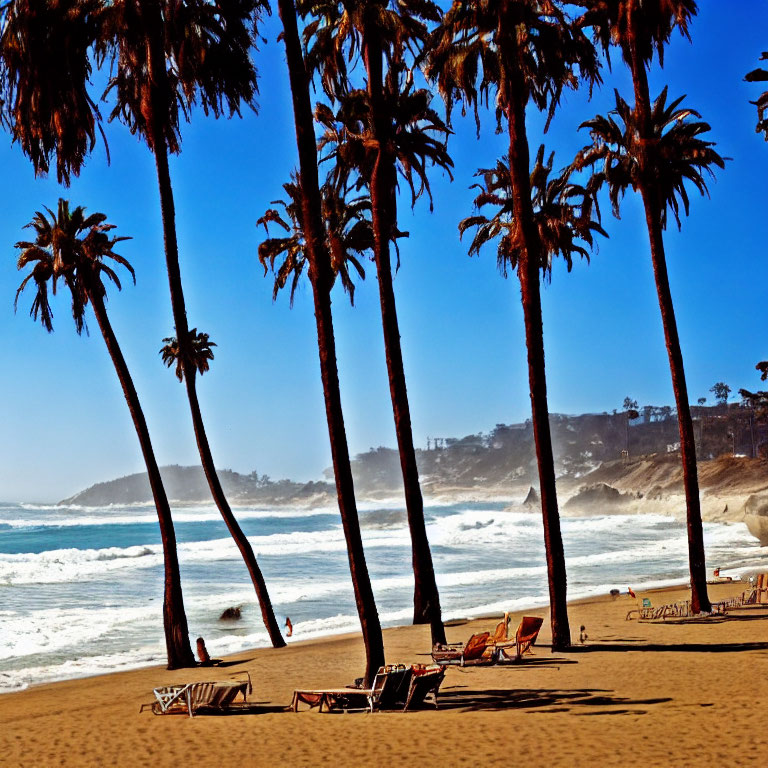 Sandy beach with palm trees, waves, and lounge chairs