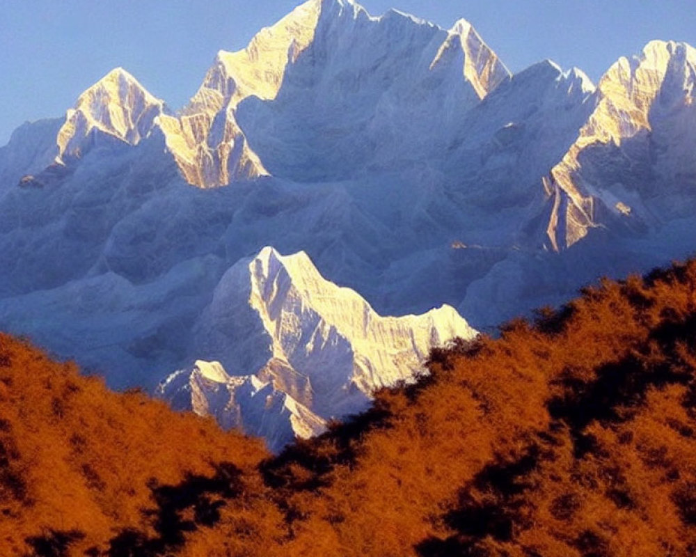 Snow-covered mountain peaks above autumn forest in clear blue sky