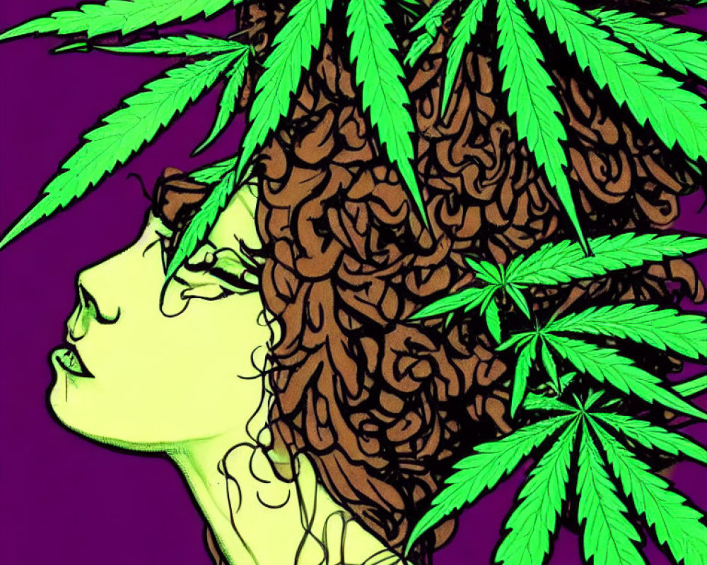 Profile view illustration: person with curly hair and cannabis leaves on purple background