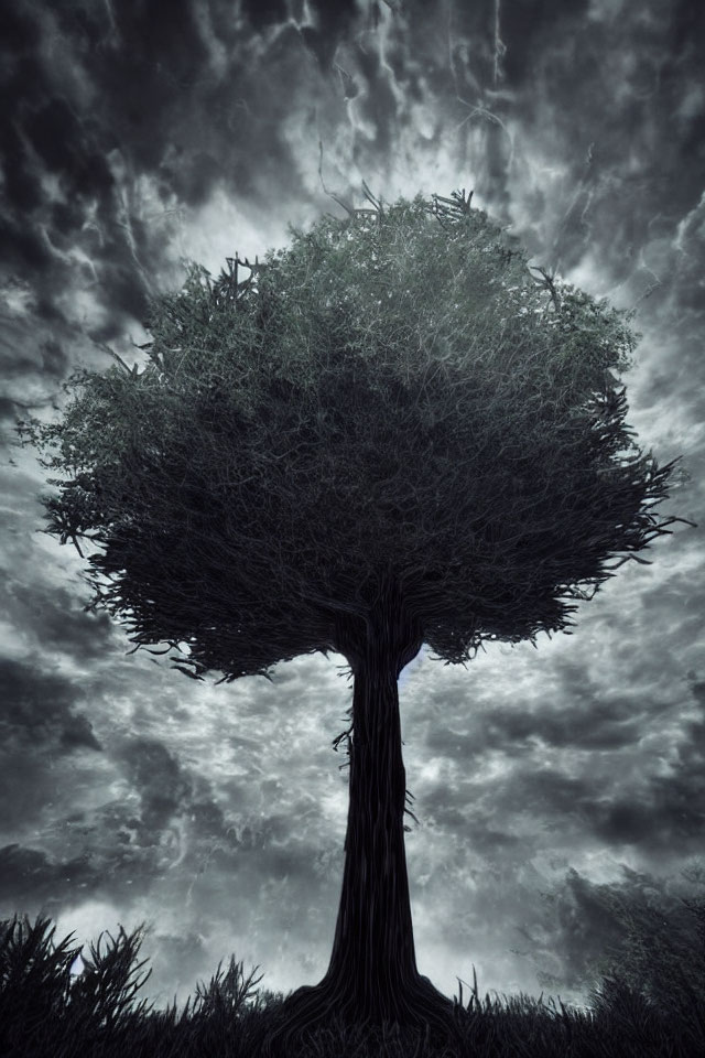 Solitary tree with intricate branches under dramatic cloudy sky