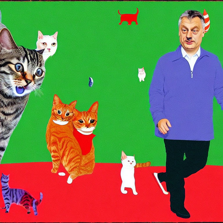 Man in Blue Sweater Surrounded by Cartoon Cats and Dog Silhouette