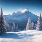 Scenic snow-covered trees against mountain backdrop