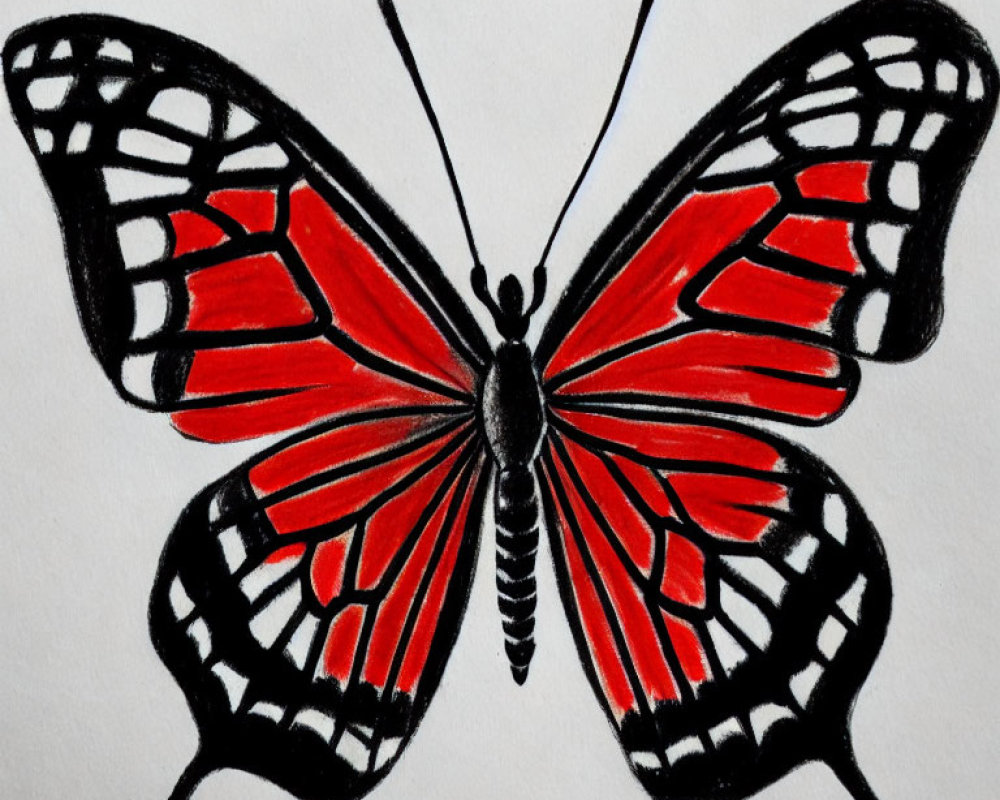 Vibrant red and black butterfly with symmetrical wing patterns