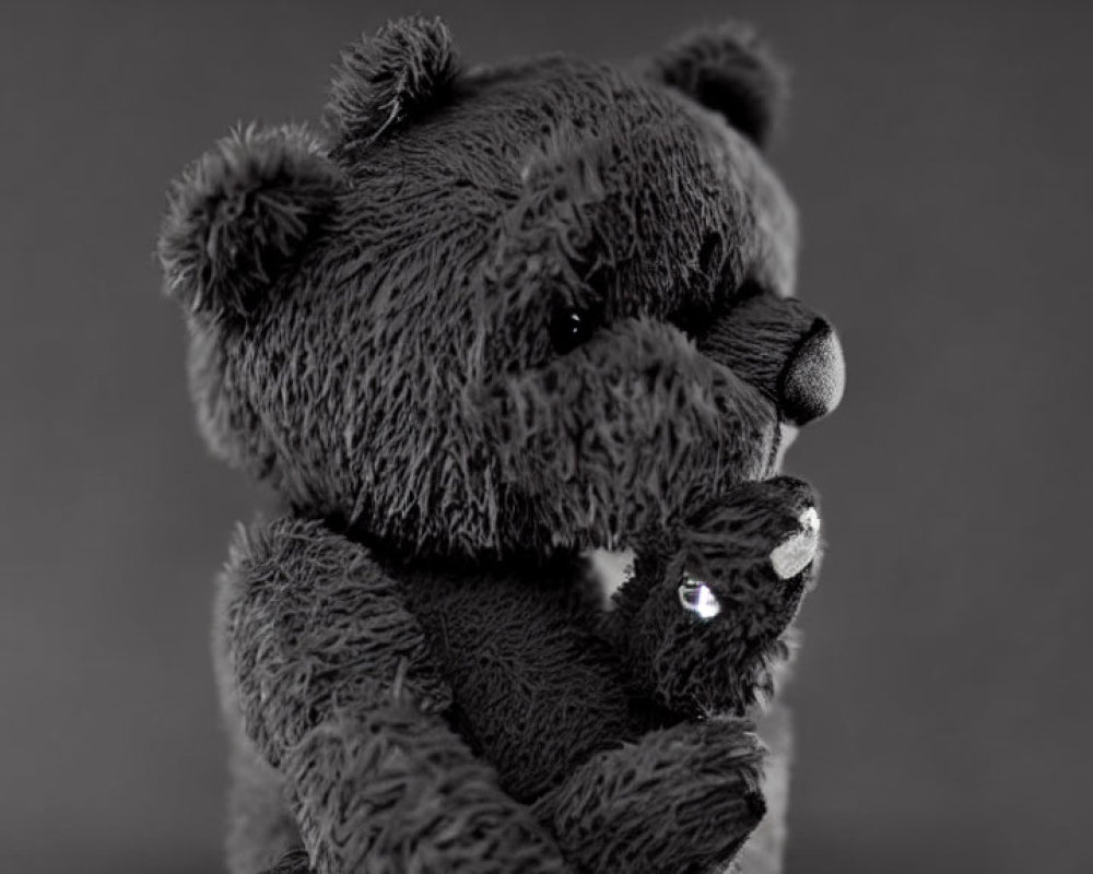 Monochrome teddy bear with reflective surface and sparkling eyes.