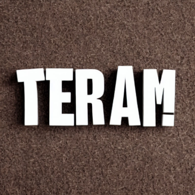 White cutout letters on textured brown background - "TERAM