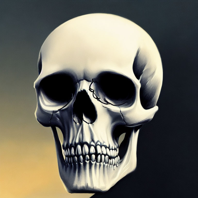 Digital human skull illustration on gradient background.