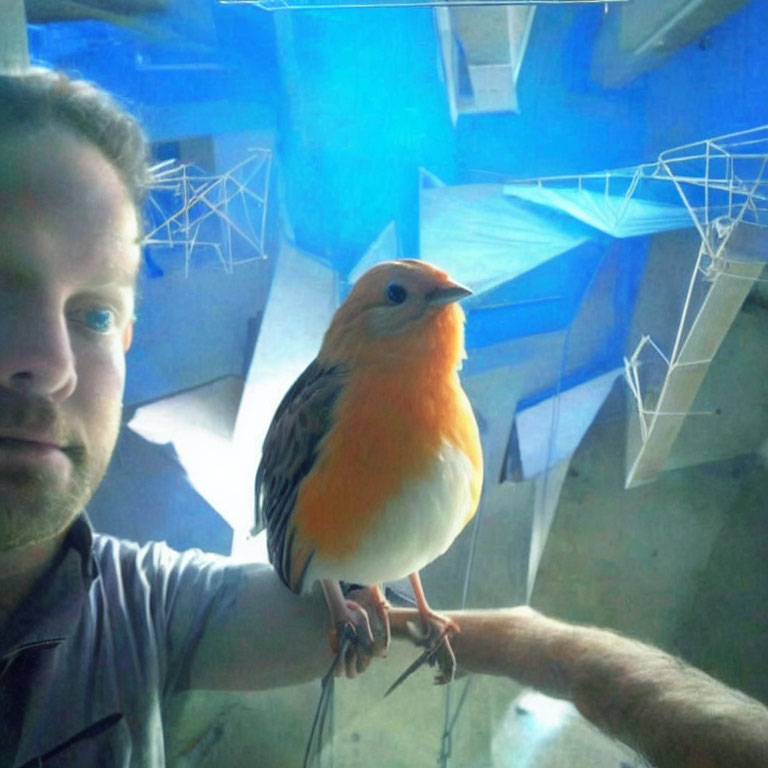 Man taking close-up selfie with vibrant orange-breasted bird indoors.