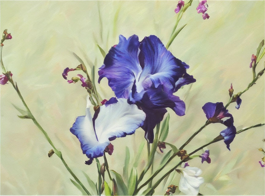 Vibrant purple and white iris flowers on textured pale green background