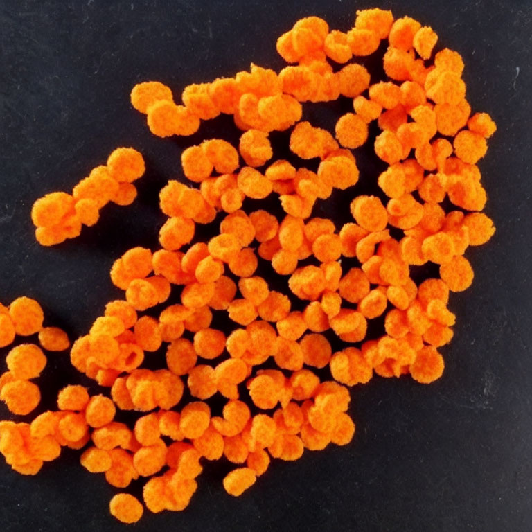 Vibrant orange spherical clusters on black background - resembling microscopic organisms.
