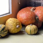 Variety of pumpkins near window with draped curtain