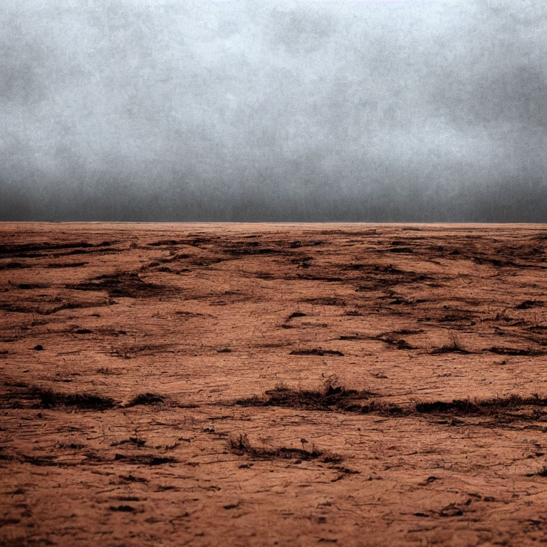 Barren Landscape with Cracked Red Earth and Overcast Sky