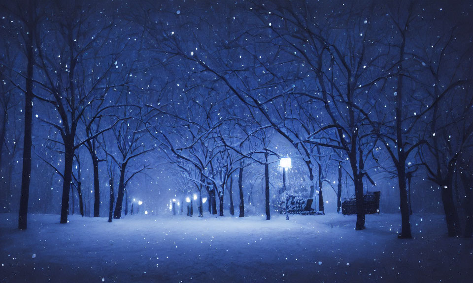 Snow-covered park with bare trees and illuminated street lamps on a serene winter night