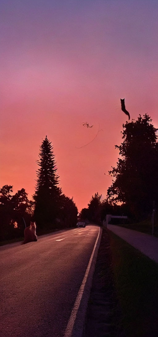 Cat sitting by roadside at twilight under vibrant pink and purple sky