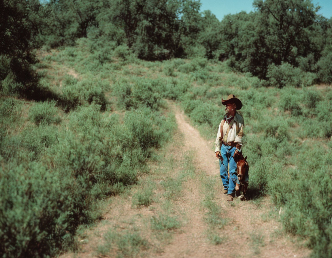 Cowboy standing on dirt path in lush green landscape