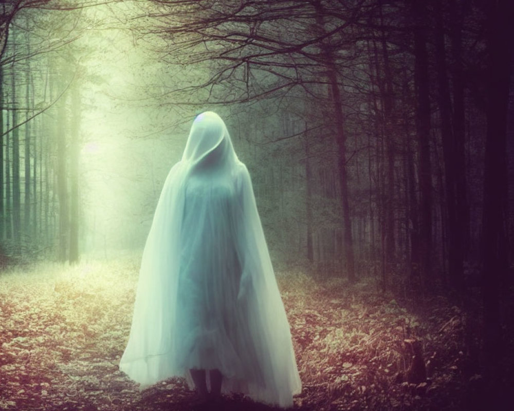 Ghostly Figure in White Cloak Stands in Misty Forest
