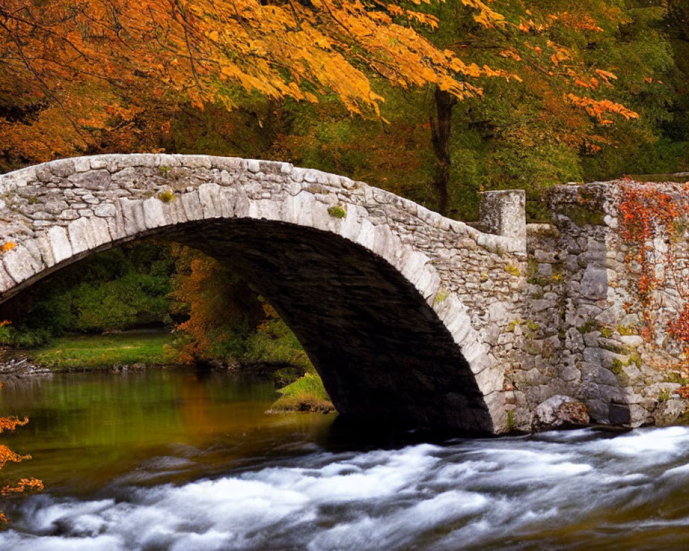 Stone arch bridge over river with autumn foliage